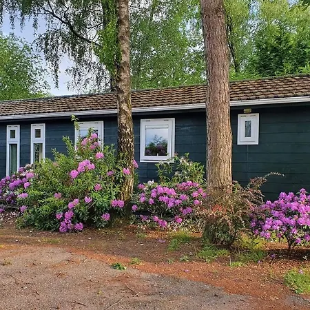 Veluwse Recreatiewoning Op Kindvriendelijk Park Voorthuizen