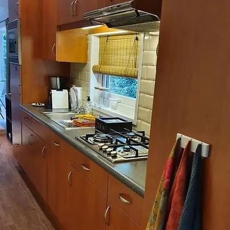 Veluwse Recreatiewoning Op Kindvriendelijk Park Chalet Voorthuizen
