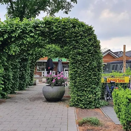 Veluwse Recreatiewoning Op Kindvriendelijk Park
